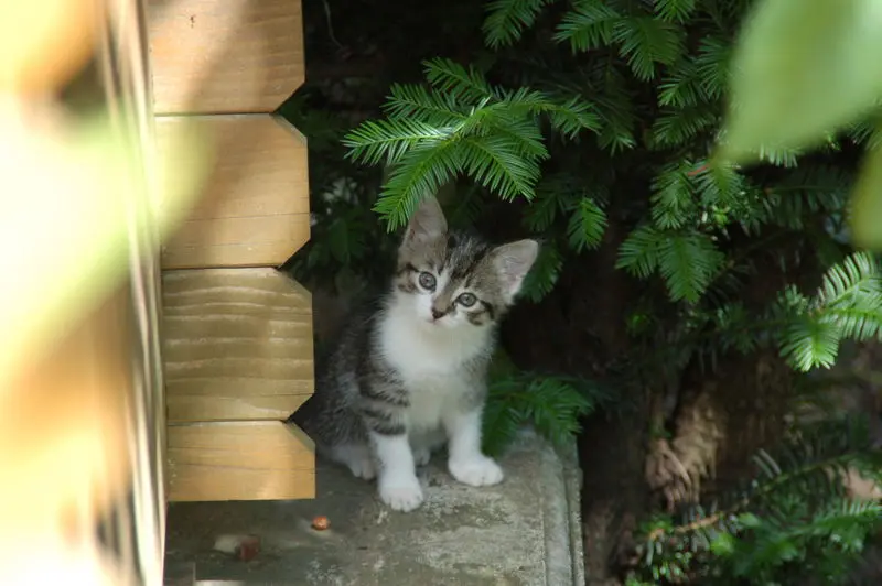 Andachtsbild von Deiner Familie ❤️ die Dich wahnsinnig vermisst