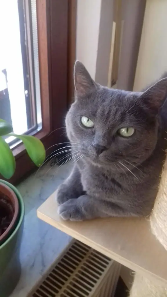 Andachtsbild von gerlinde