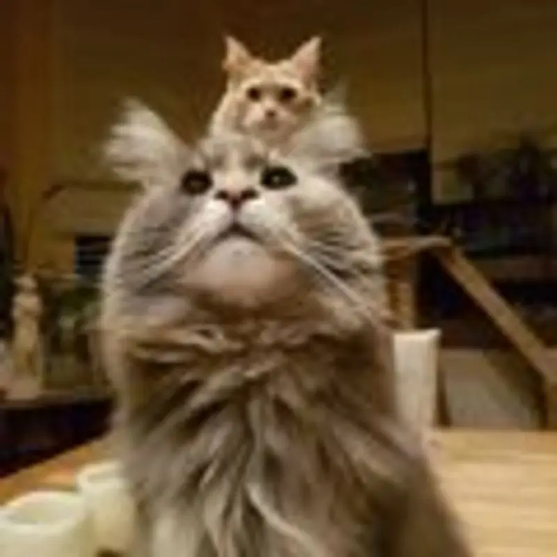 Andachtsbild von ❤️Sam & ❤️Maja für Brigitta