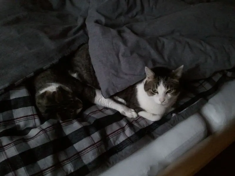 Andachtsbild von ❤️♥★ Zum Gedenken - 21 Monate ★♥❤️