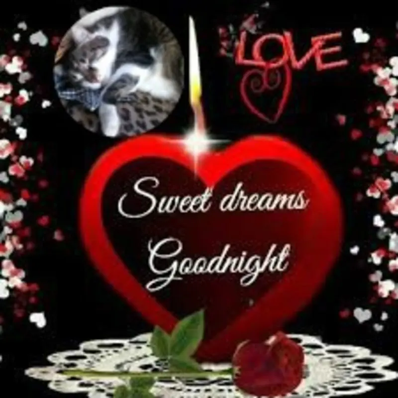 Andachtsbild von Gute Nacht❤️❤️❤️