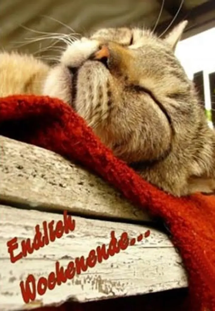 Andachtsbild von Tanja mit Timmy im Herzen 