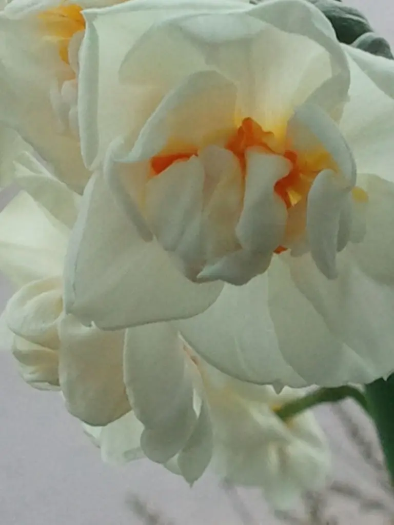 Andachtsbild von Ein Sonnengruß von Deiner Familie 