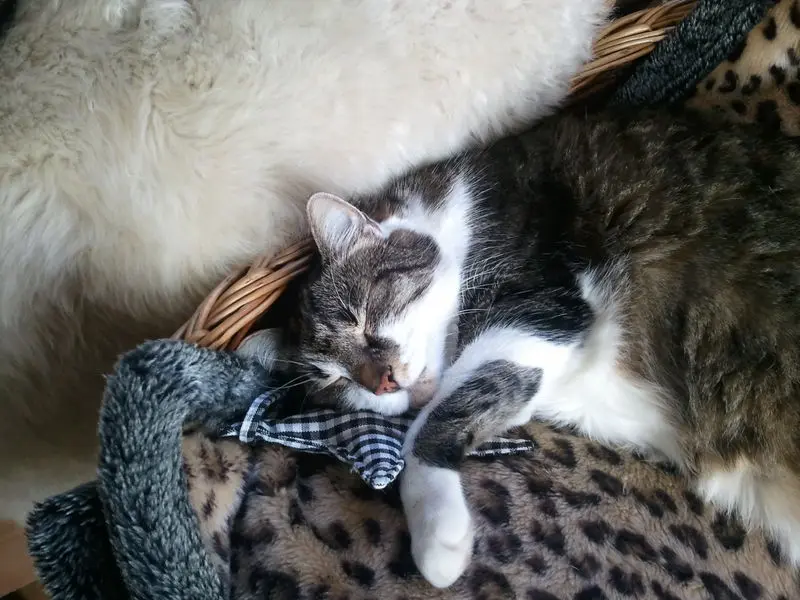 Andachtsbild von  ❤️♥★ Zum Gedenken - 93 Wochen ★♥❤️