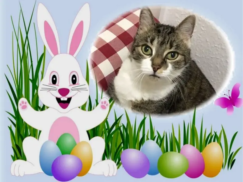 Andachtsbild von ❤️❤️❤️