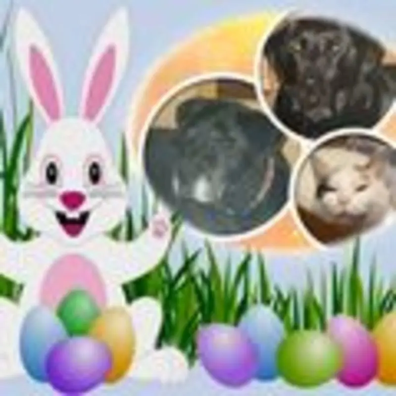 Andachtsbild von Evelyn mit Nele,Lara,Fleckchen im Herzen