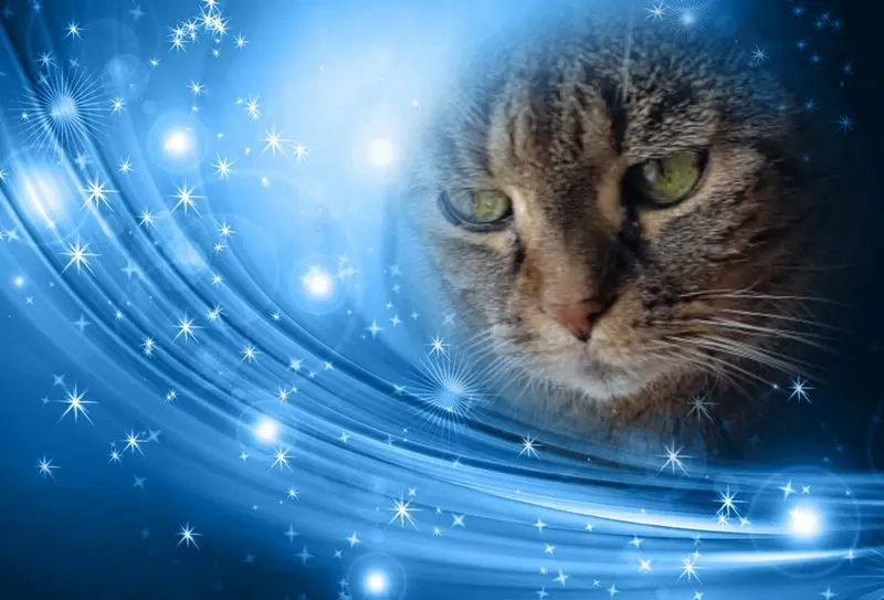 Andachtsbild von Tanja mit Timmy im Herzen 