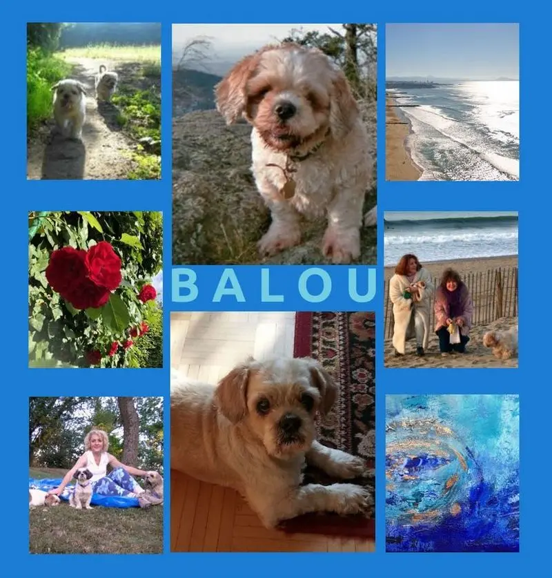 Andachtsbild von Marika mit Hippo & Balou im Herzen