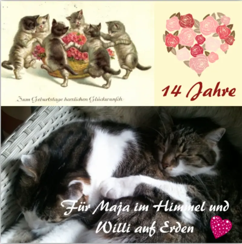 Andachtsbild von Rosen für Maja zum 14. Geburtstag