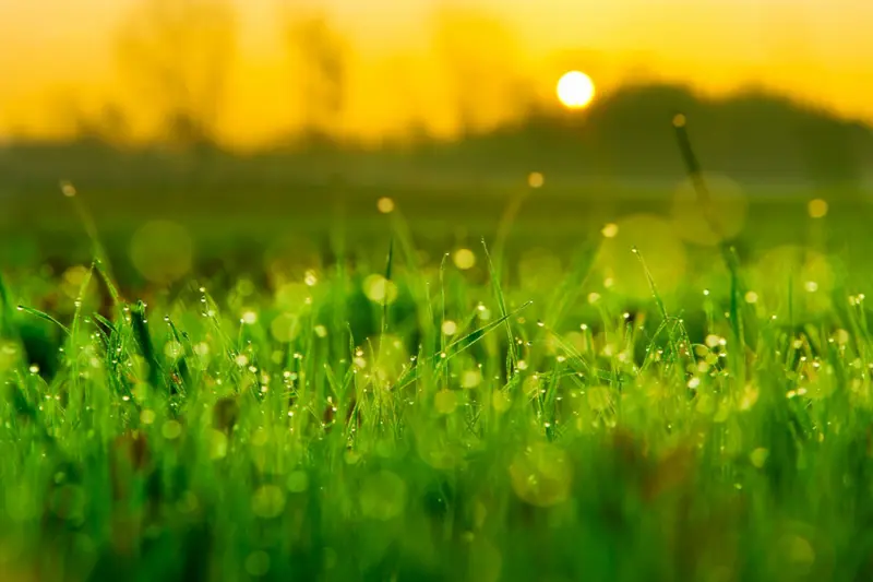 Andachtsbild von : ❤️♥★ Zum Gedenken - 99 Wochen ★♥❤️