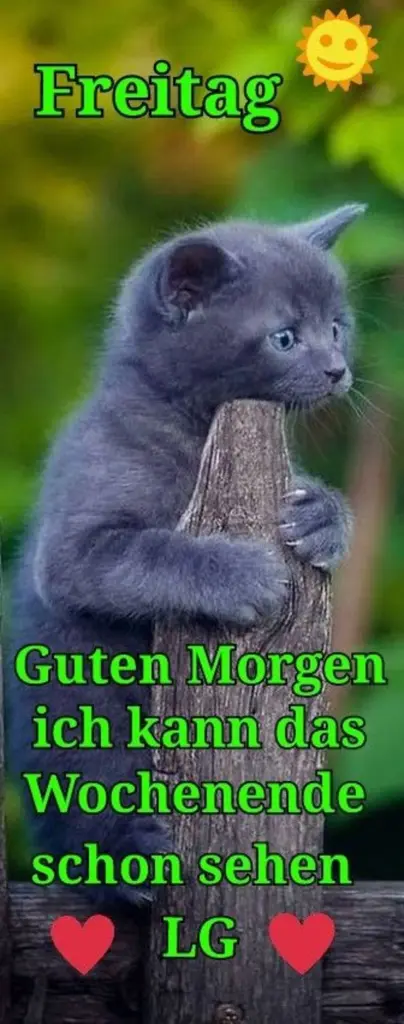 Andachtsbild von Tanja mit Timmy im Herzen 