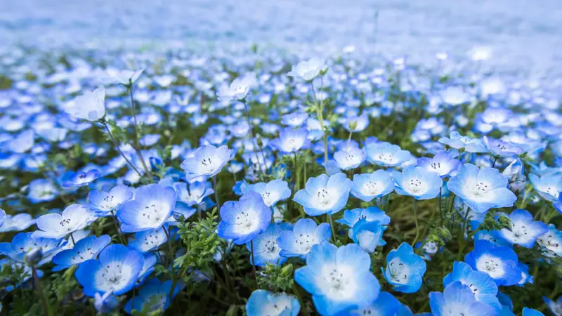 Andachtsbild von Anja 