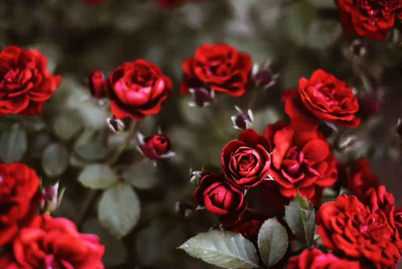 Andachtsbild von ❤️DEINER  FAMILIE❤️