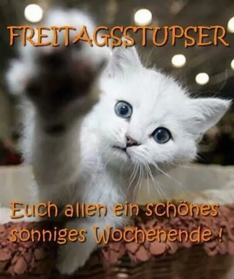 Andachtsbild von Tanja mit Timmy im Herzen 