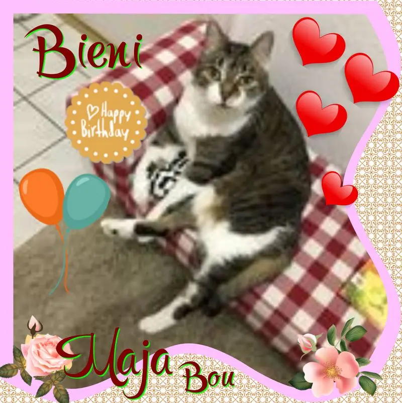 Andachtsbild von ❤Eike und Edeltraud mit unseren 7 Sternchen an unserer Seite ❤