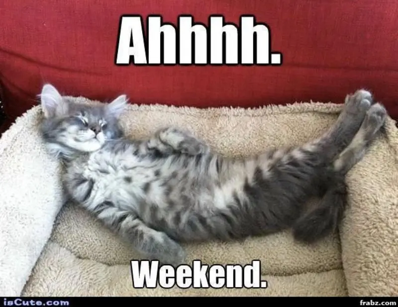 Andachtsbild von Tanja mit Timmy im Herzen 