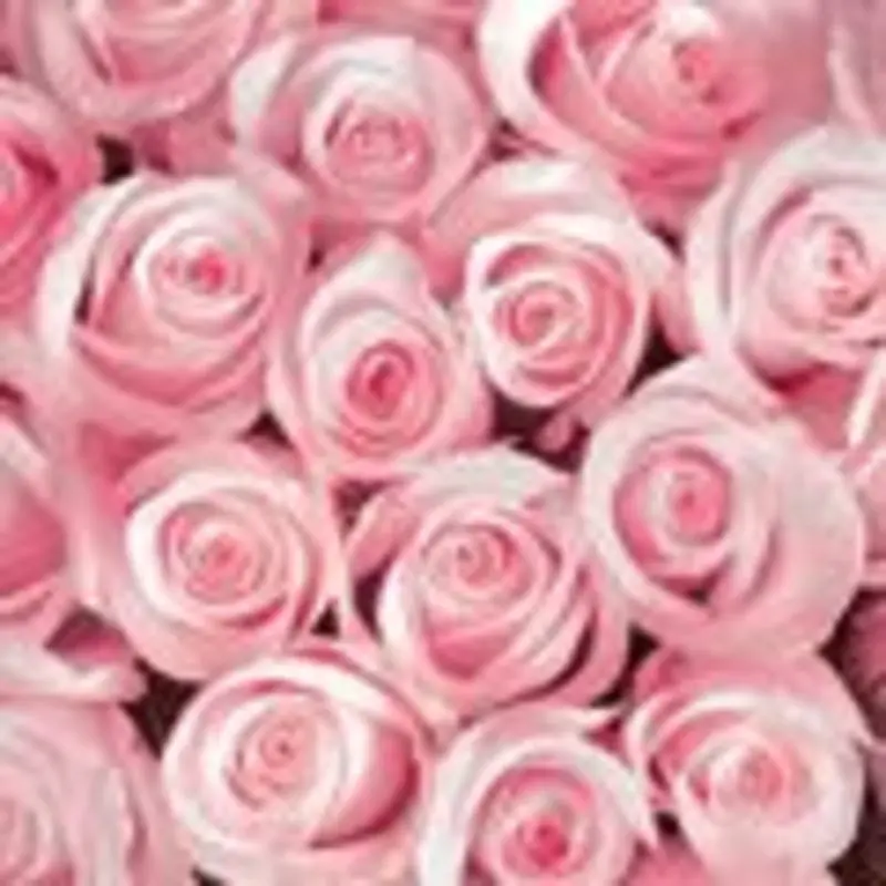 Andachtsbild von Evelyn