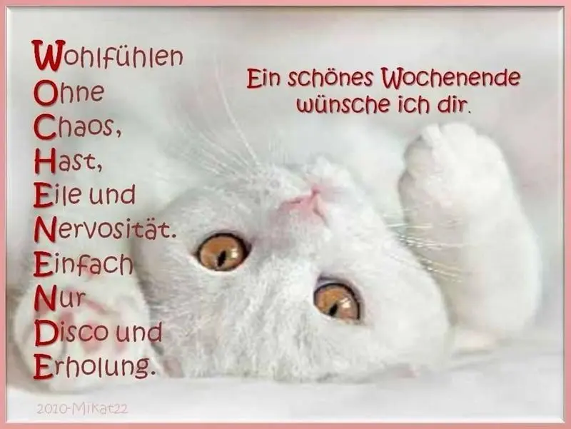 Andachtsbild von Tanja mit Timmy im Herzen 