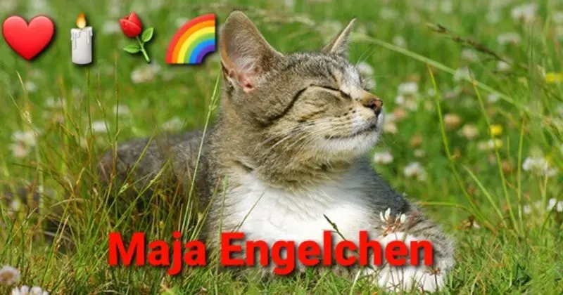 Andachtsbild von Tanja mit Timmy im Herzen 