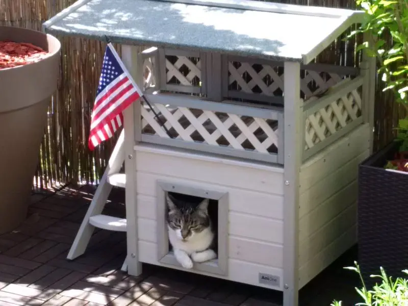 Andachtsbild von  ❤️♥★ Maja ❤️ zum Gedenken - 111 Wochen ★♥❤️