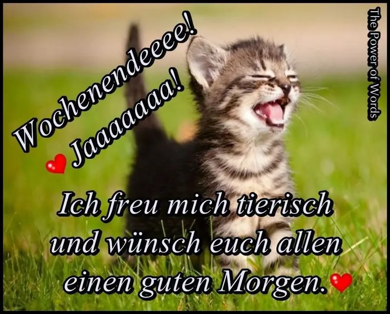 Andachtsbild von Tanja mit Timmy im Herzen 