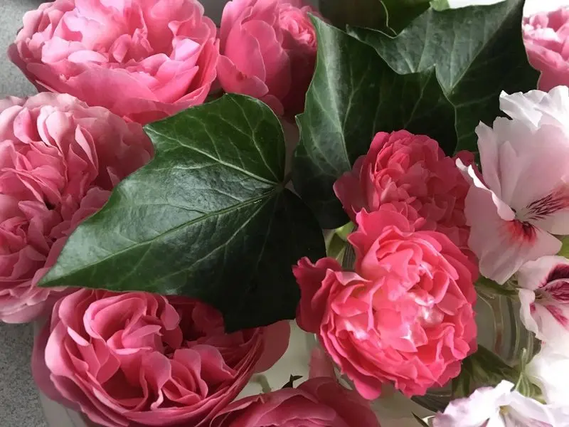 Andachtsbild von ❤️♥★ Maja ❤️ zum 26. Gedenkmonat ★♥❤️