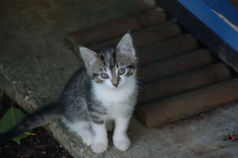 Andachtsbild von Deiner Anja die Dich❤️ wahnsinnig vermisst