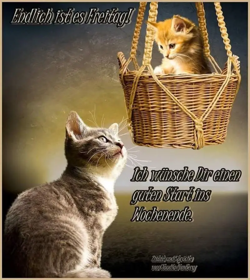 Andachtsbild von Tanja mit Timmy im Herzen 