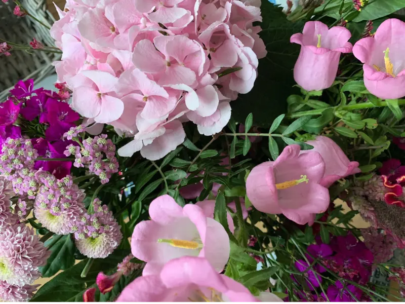 Andachtsbild von ❤️♥★ Maja ❤️ zum Gedenken - 119 Wochen ★♥❤️