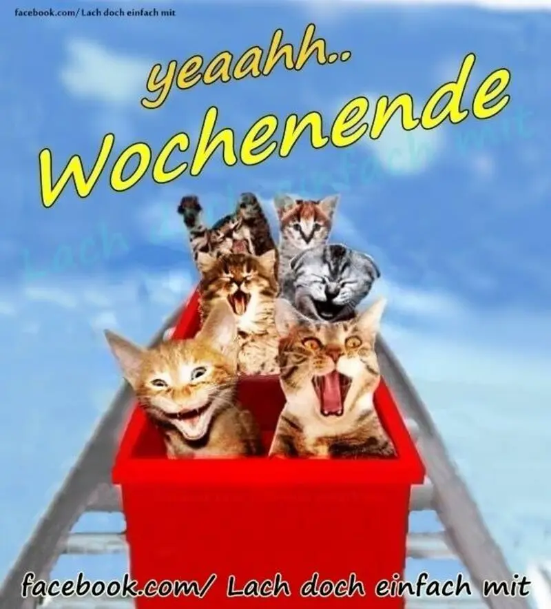 Andachtsbild von Tanja mit Timmy im Herzen 