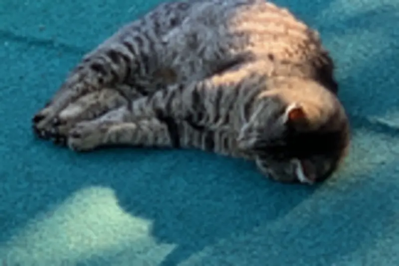 Andachtsbild von Deiner Familie ❤️ die Dich wahnsinnig vermisst