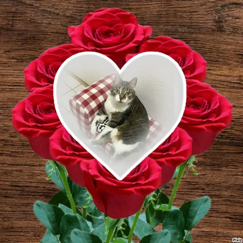 Andachtsbild von Tanja mit Timmy im Herzen 