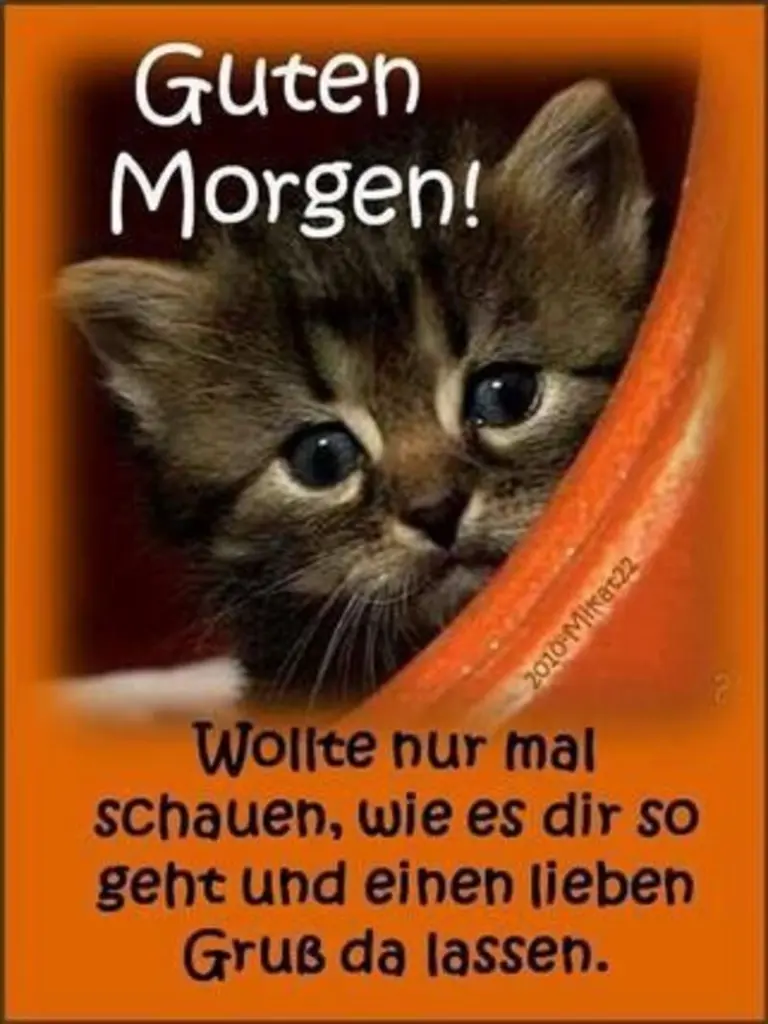 Andachtsbild von Tanja mit Timmy im Herzen 