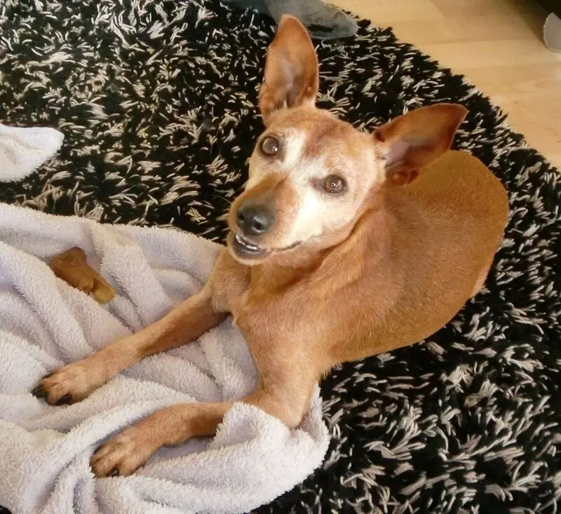 Andachtsbild von Jutta+Purzel 