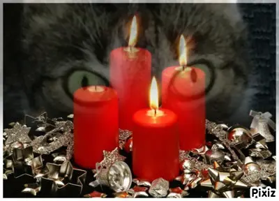 Andachtsbild von Tanja mit Timmy im Herzen 