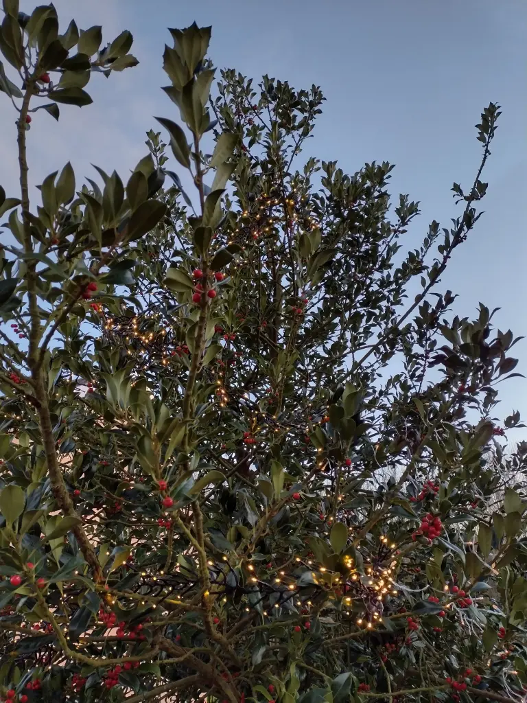 Andachtsbild von Corinna mit Emma, Pummelchen und anderen Sternleine im Herzen