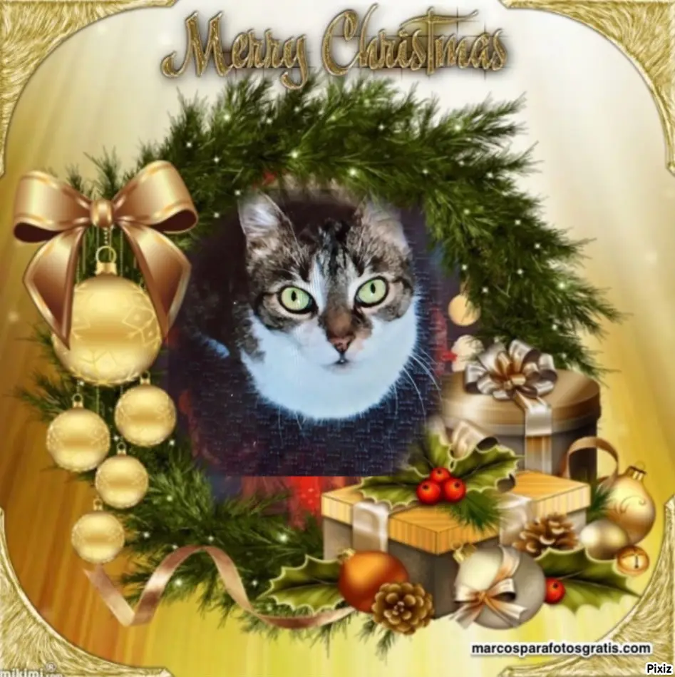 Andachtsbild von Für das kleine Sternchen Maja♥️