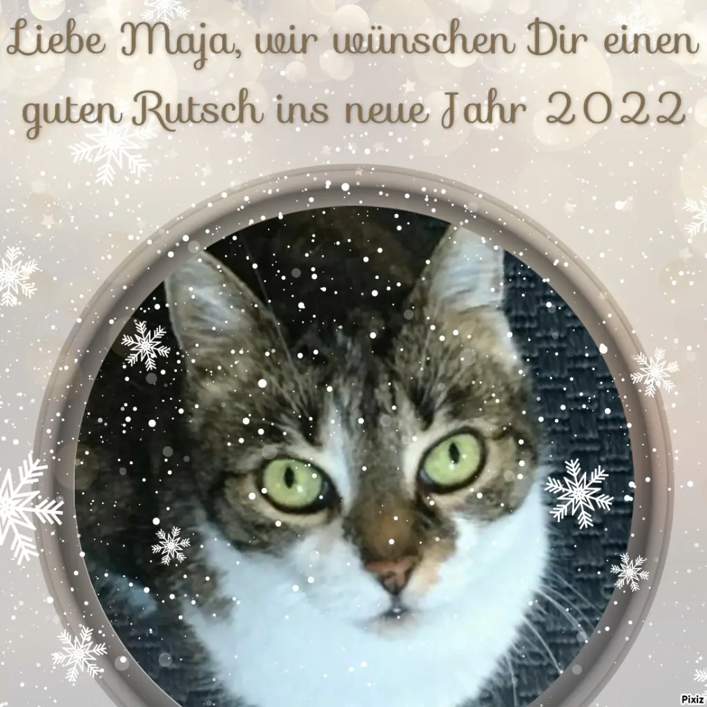 Andachtsbild von Tanja mit Timmy im Herzen 