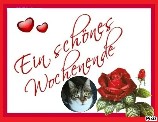 Andachtsbild von Tanja mit Timmy im Herzen 