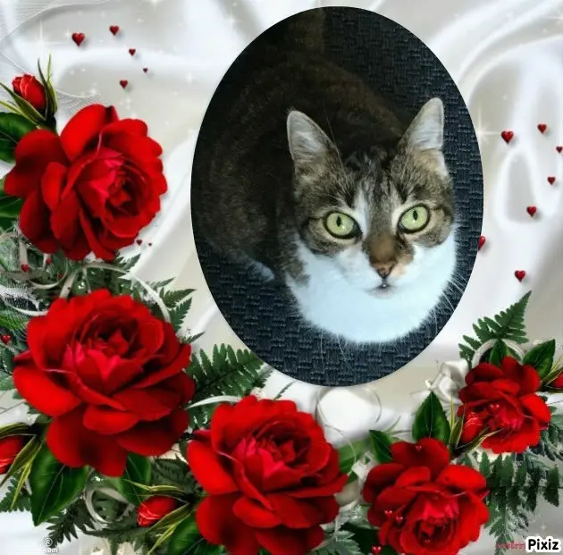 Andachtsbild von Tanja mit Timmy im Herzen 