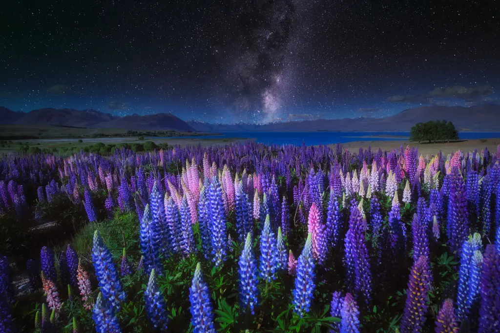 Andachtsbild von ❤♥★ Maja ❤ zum Gedenken - 137 Wochen ★♥❤