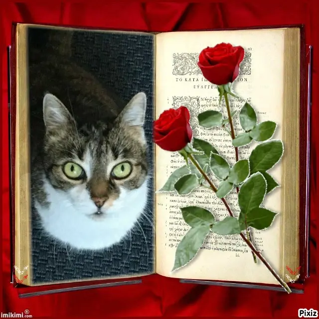 Andachtsbild von Tanja mit Timmy im Herzen 