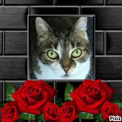 Andachtsbild von Tanja mit Timmy im Herzen 