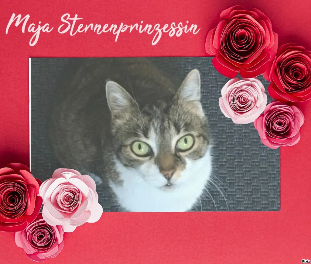 Andachtsbild von Tanja mit Timmy im Herzen