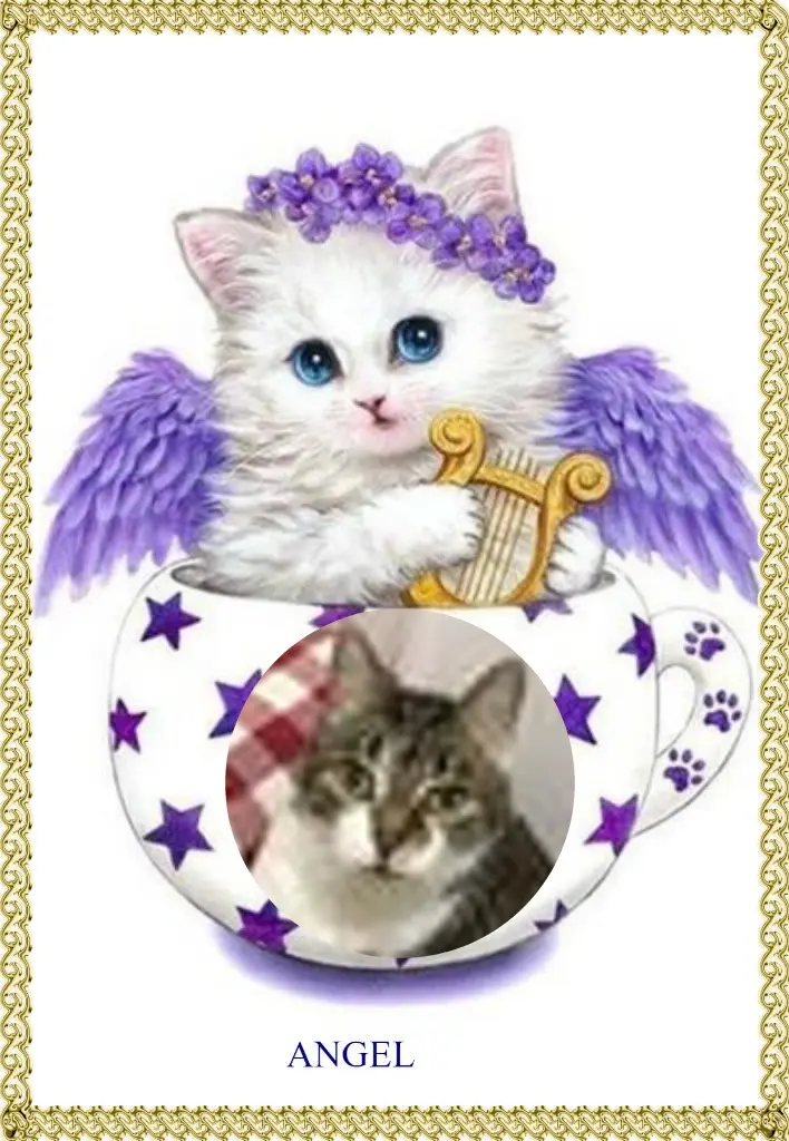 Andachtsbild von Fur Liebste❤️❤️❤️❤️❤️❤️Majenchen❤️