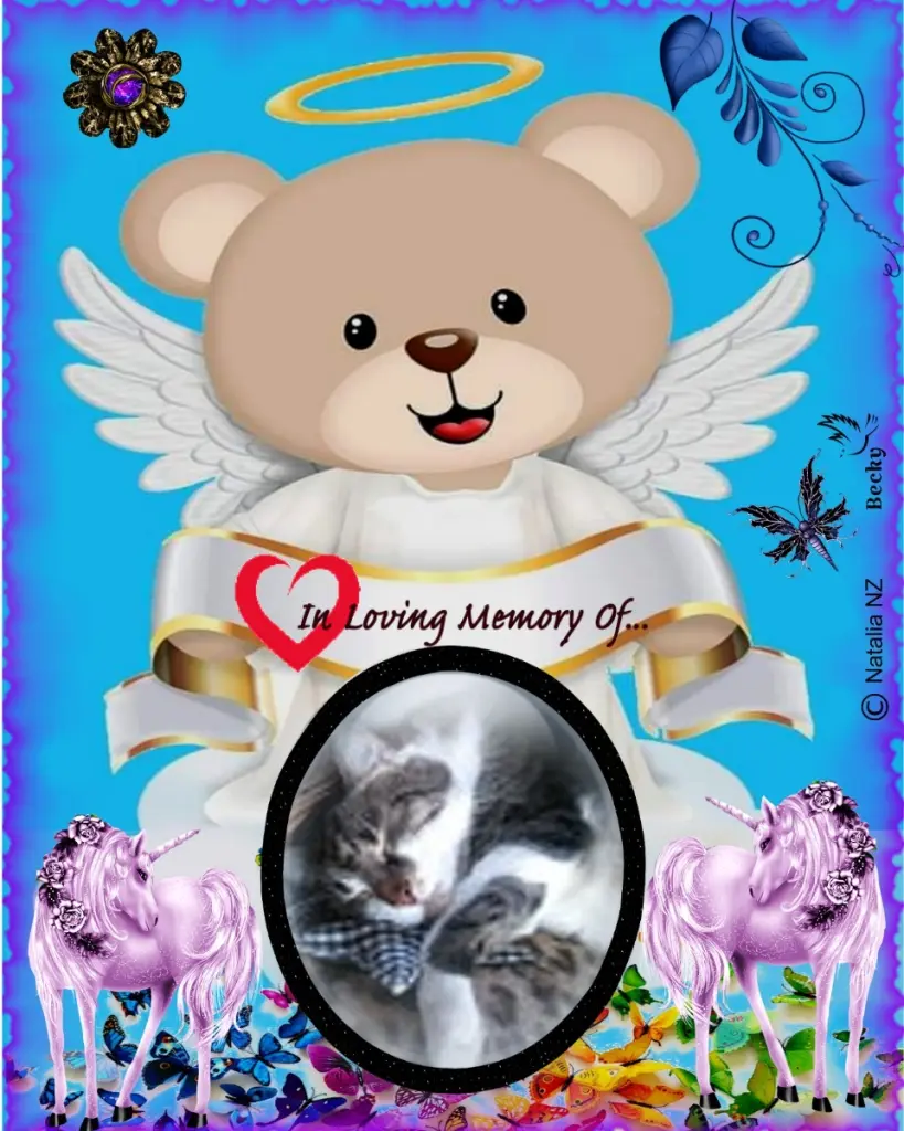 Andachtsbild von Gute❤️❤️❤️Nacht❤️❤️❤️❤️❤️