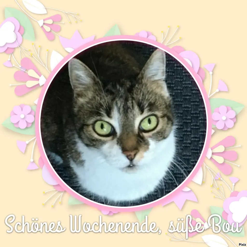 Andachtsbild von Tanja mit Timmy im Herzen 