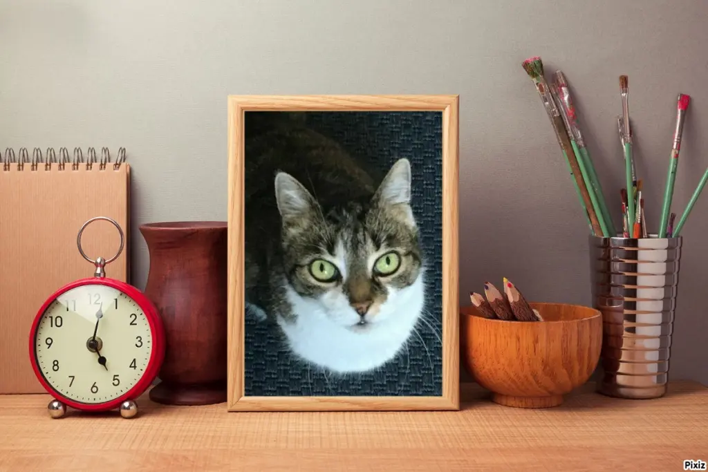 Andachtsbild von Tanja mit Timmy im Herzen 