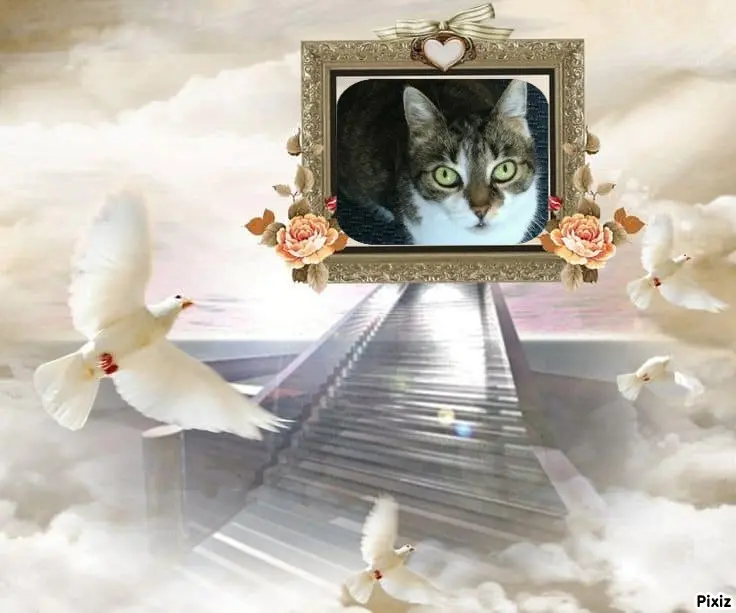 Andachtsbild von Tanja mit Timmy im Herzen 