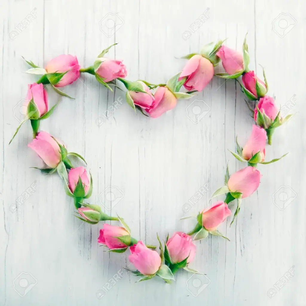 Andachtsbild von  ❤️♥★ Maja ❤️ zum Gedenken - 143 Wochen ★♥❤️